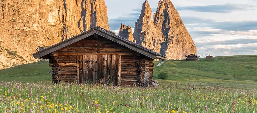 sam-blumenwanderung-manfred-kostner1