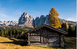 Autunno dorato