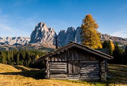 Autunno dorato