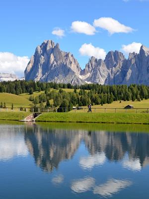 Offerta speciale prenota prima