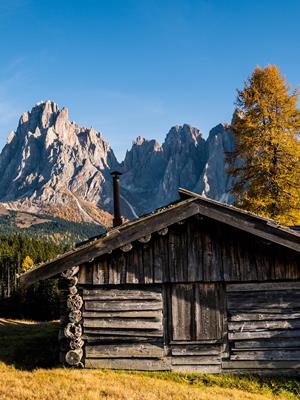 Autunno dorato